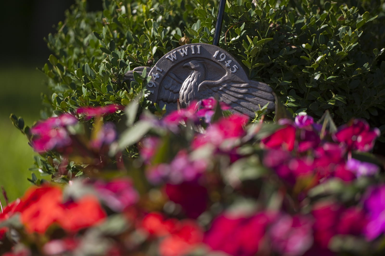 Image is not available