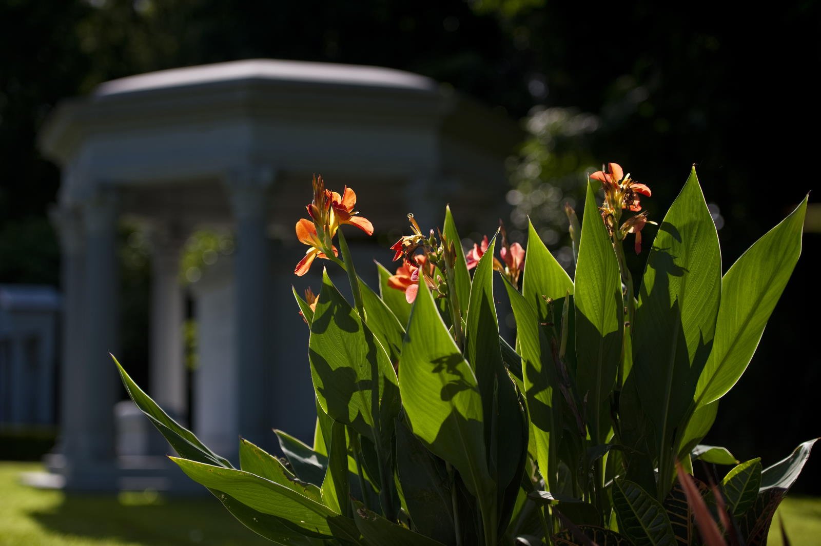 Image is not available