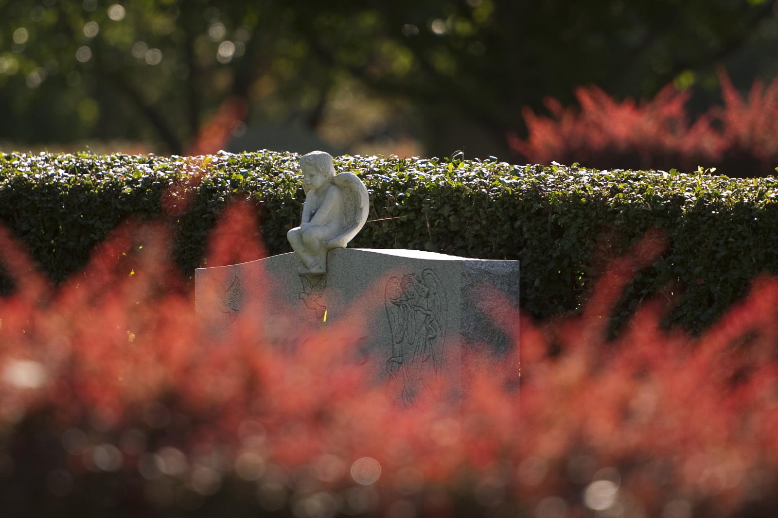 Image is not available